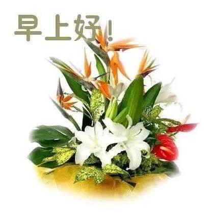 journal_insert_pic_1183468075