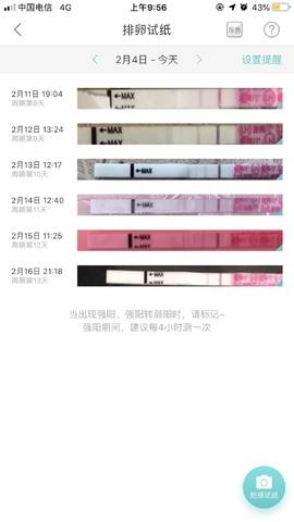 journal_insert_pic_1184188096