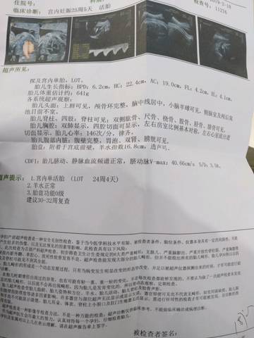 journal_insert_pic_1185221735