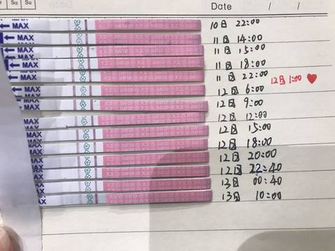 journal_insert_pic_1184974163