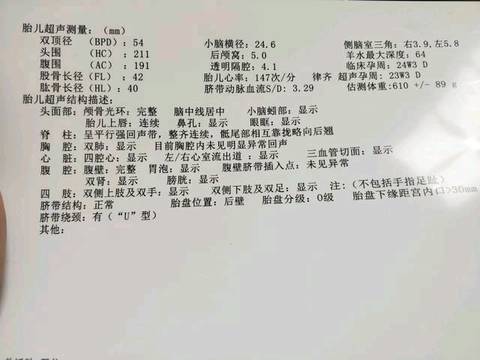 journal_insert_pic_1186524475