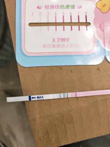 journal_insert_pic_1187634976