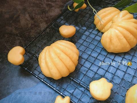 journal_insert_pic_1188320481
