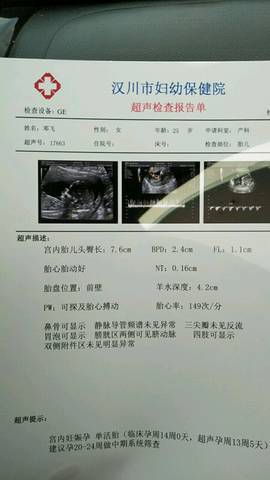 journal_insert_pic_1188033580