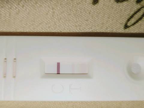 journal_insert_pic_1189477904