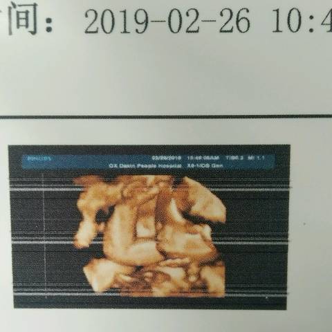 journal_insert_pic_1189241030