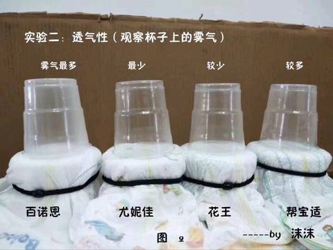 journal_insert_pic_1189735325