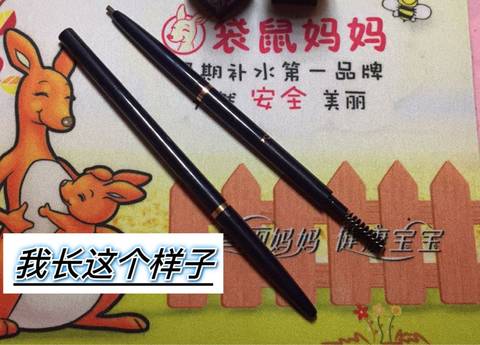 journal_insert_pic_1190583829