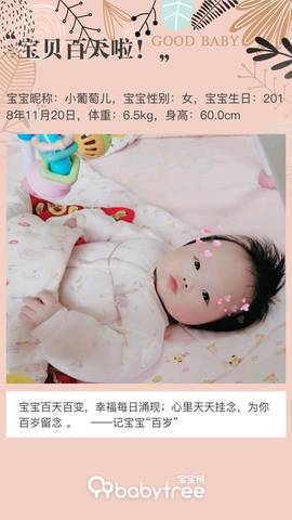 journal_insert_pic_1190848447