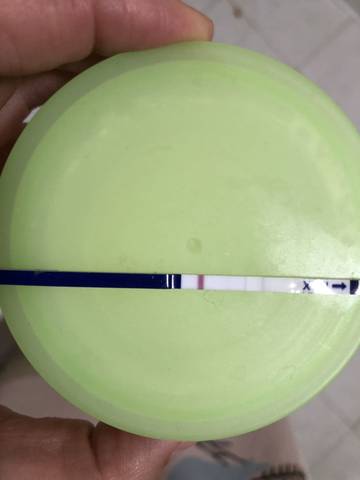 journal_insert_pic_1191186499