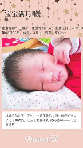 journal_insert_pic_1191455195