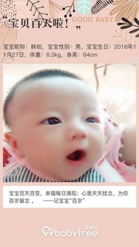 journal_insert_pic_1192133408