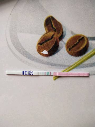 journal_insert_pic_1191997175