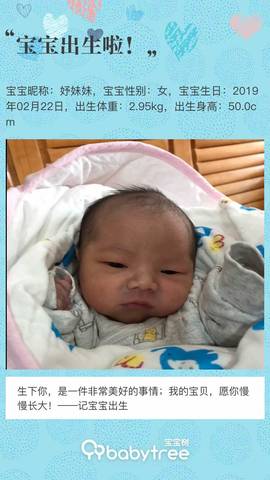 journal_insert_pic_1192027084