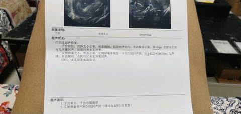 journal_insert_pic_1193533921