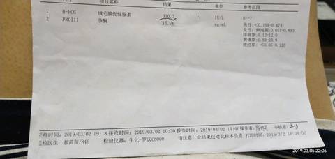 journal_insert_pic_1193533938