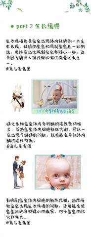 journal_insert_pic_1193186473