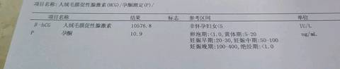 journal_insert_pic_1194031120