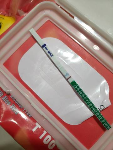 journal_insert_pic_1193642512