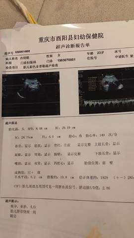 journal_insert_pic_1194574461