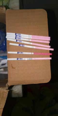 journal_insert_pic_1194471400