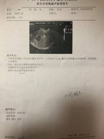 journal_insert_pic_1195031584