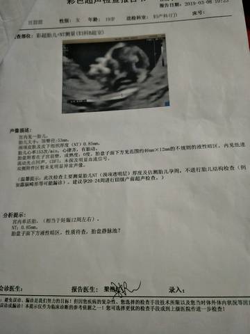 journal_insert_pic_1194948410