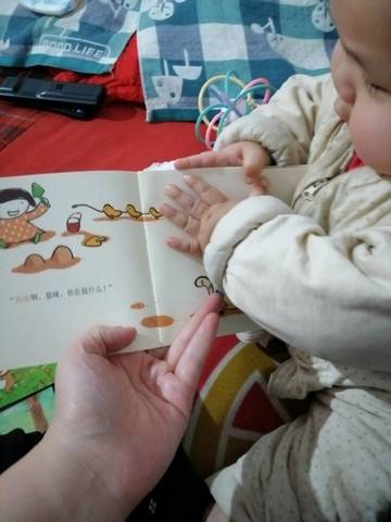 journal_insert_pic_1196086555