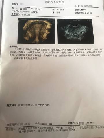 journal_insert_pic_1195966622