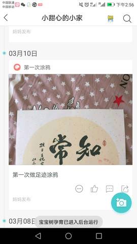 journal_insert_pic_1197208404