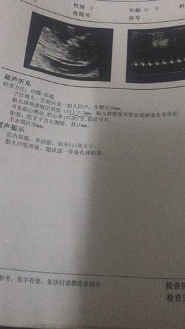 journal_insert_pic_1197778549