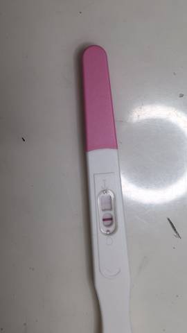 journal_insert_pic_1198888124