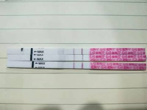 journal_insert_pic_1199241343