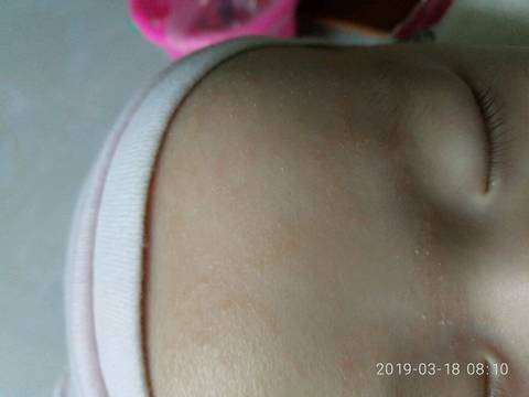 journal_insert_pic_1200263180