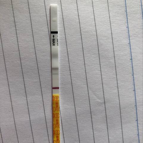 journal_insert_pic_1201121041