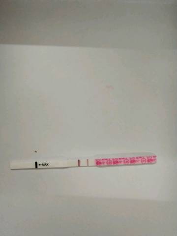 journal_insert_pic_1201173589