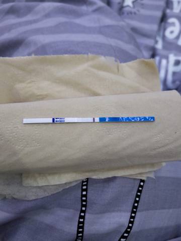 journal_insert_pic_1201425975