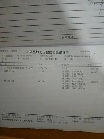 journal_insert_pic_1201684155