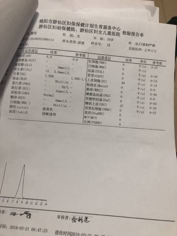 journal_insert_pic_1202312205