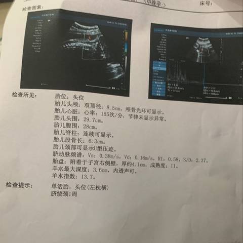 journal_insert_pic_1202060542