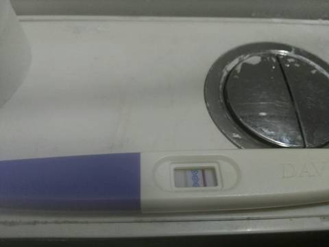 journal_insert_pic_1203002588