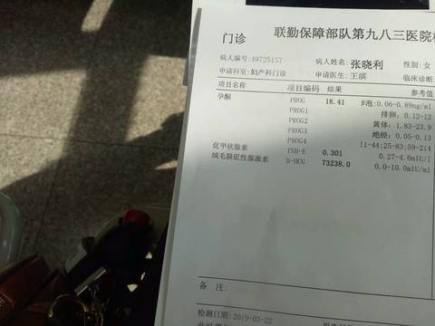 journal_insert_pic_1202726537