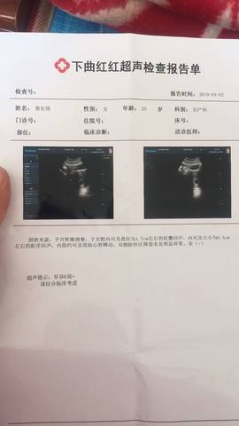 journal_insert_pic_1202856304