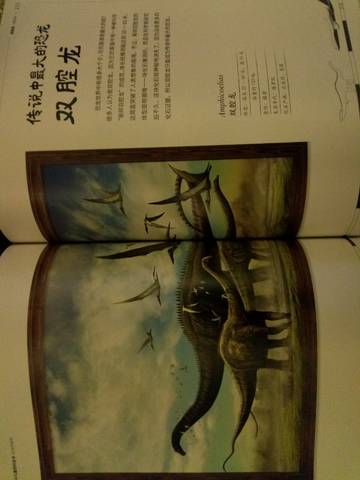 journal_insert_pic_1202517496