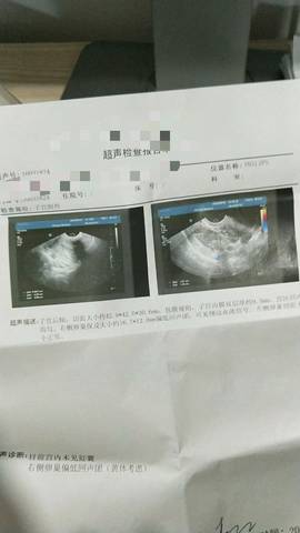 journal_insert_pic_1203347608