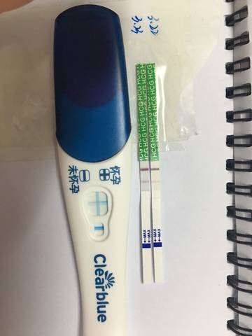 journal_insert_pic_1203183260