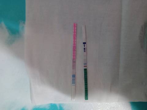 journal_insert_pic_1204251543