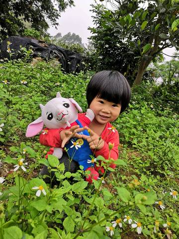 journal_insert_pic_1204891482