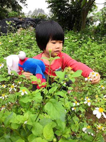 journal_insert_pic_1204891484