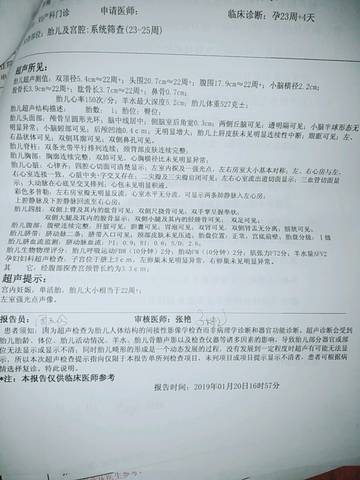 journal_insert_pic_1204897374